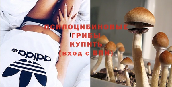 герыч Арсеньев